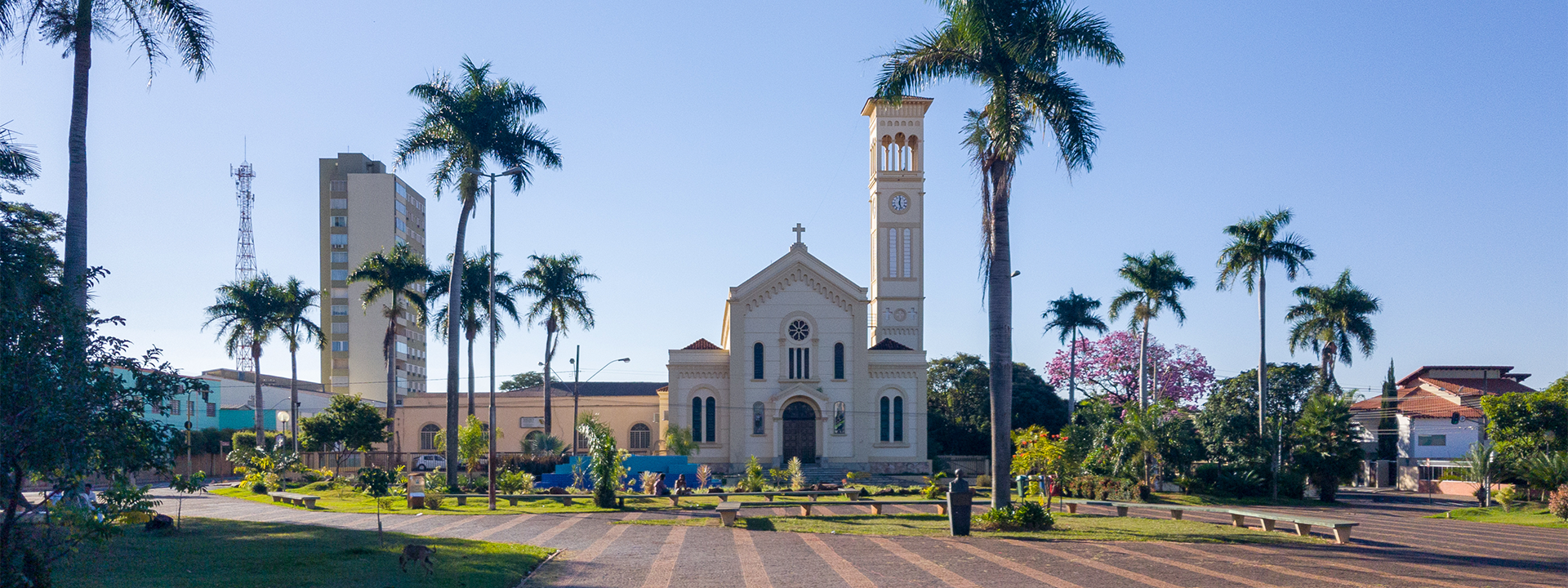 Paisagem com coqueiros e prédios da cidade Ituiutaba.